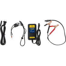 Fire Power 12V / 2 Amp Battery Charger HBC-LF0201_197429