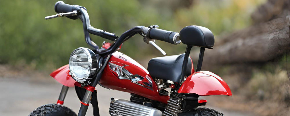 Have You Mastered These Mini Bike Basics?