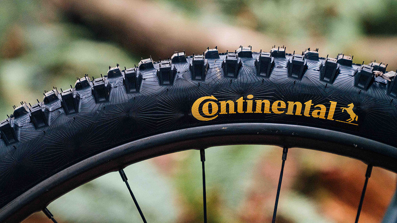 Continental Tire - Bicycle