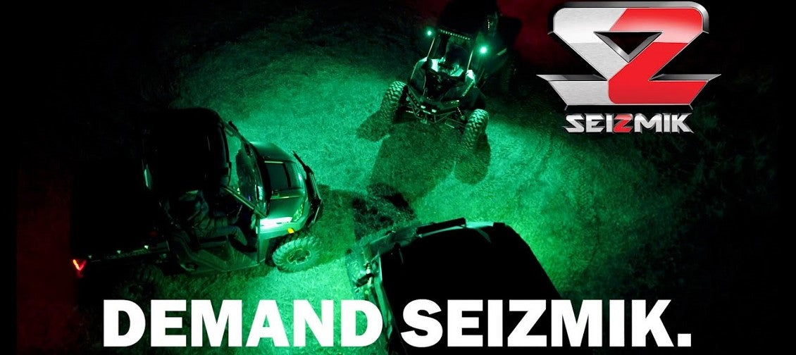 Seizmik