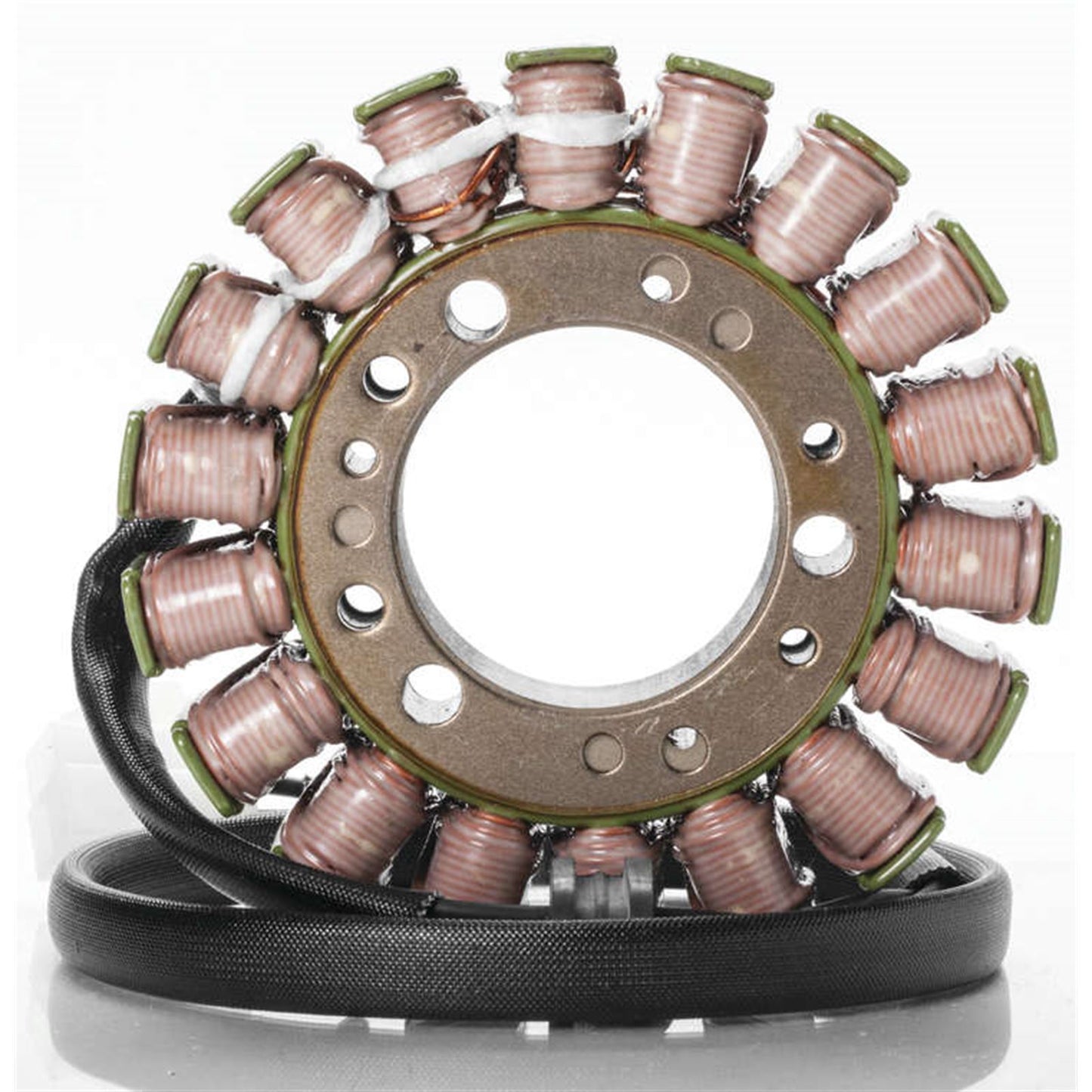 Ricks Stator [MPN: 21-005]_3952