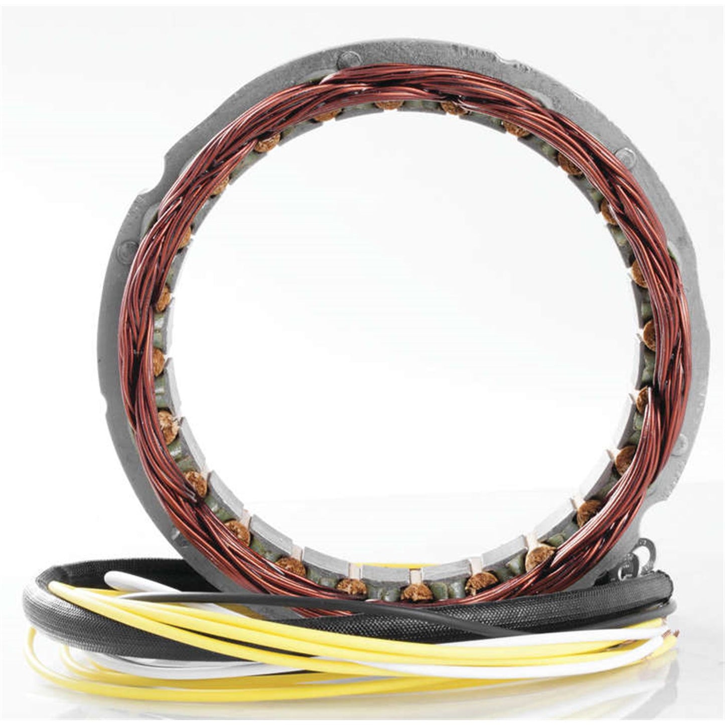 Ricks Stator [MPN: 21-100]_3965