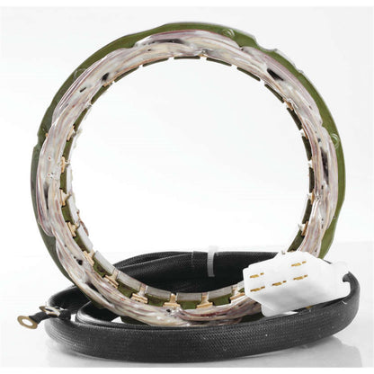 Ricks Stator [MPN: 21-101]_3967