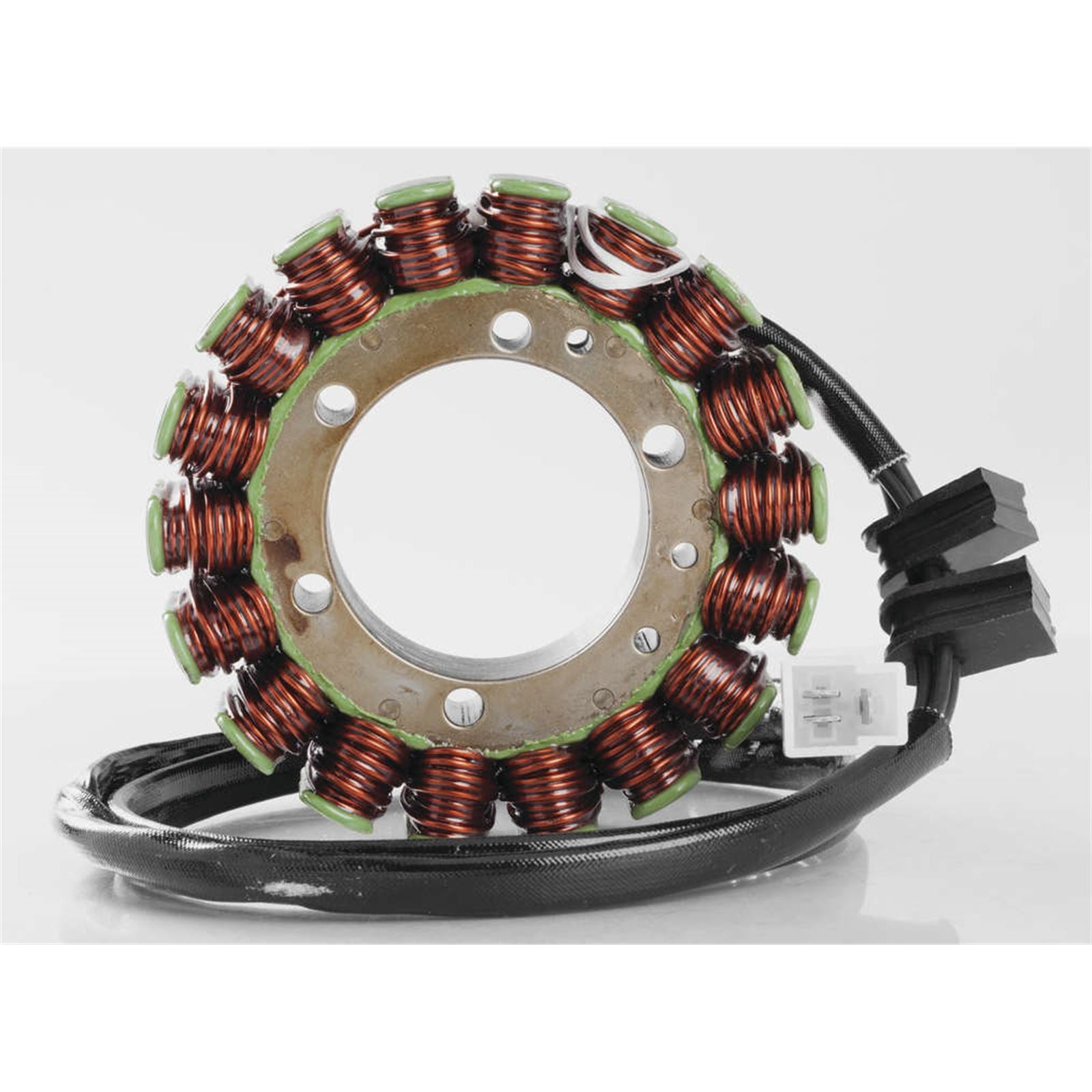 Ricks Stator [MPN: 21-107]_3977