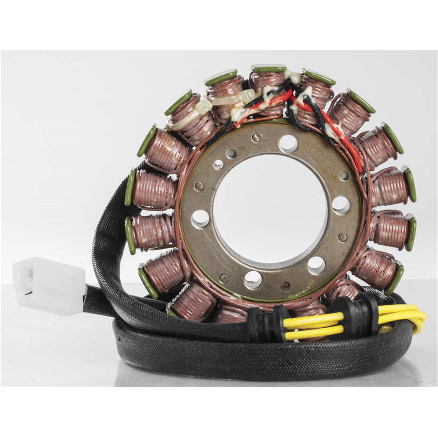 Ricks Stator [MPN: 21-109]_3980