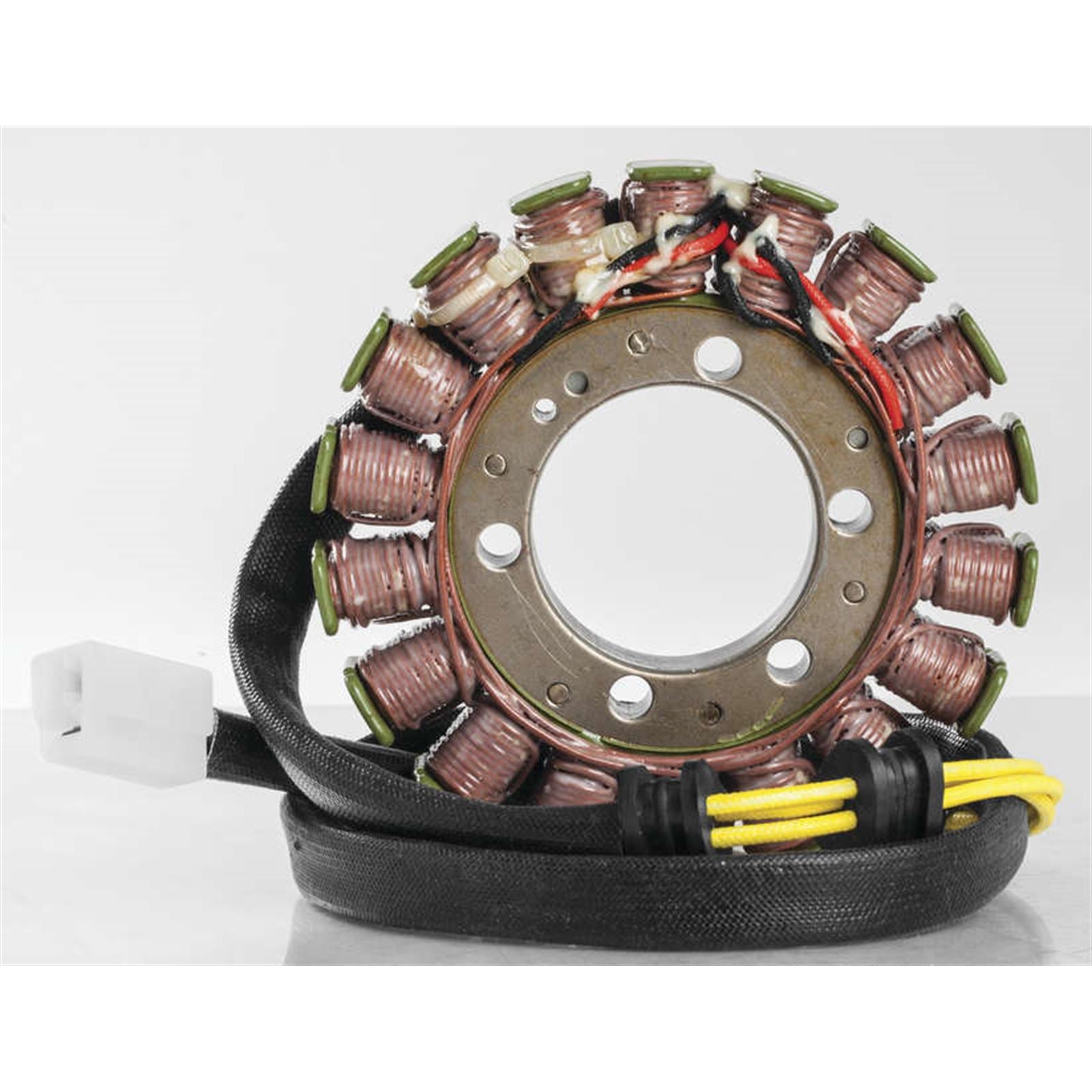 Ricks Stator [MPN: 21-109]_3980