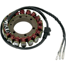 Ricks Stator [MPN: 21-204]_466026