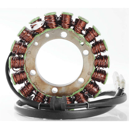 Ricks Stator [MPN: 21-204]_4025