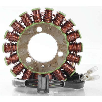 Ricks Stator [MPN: 21-211]_4034