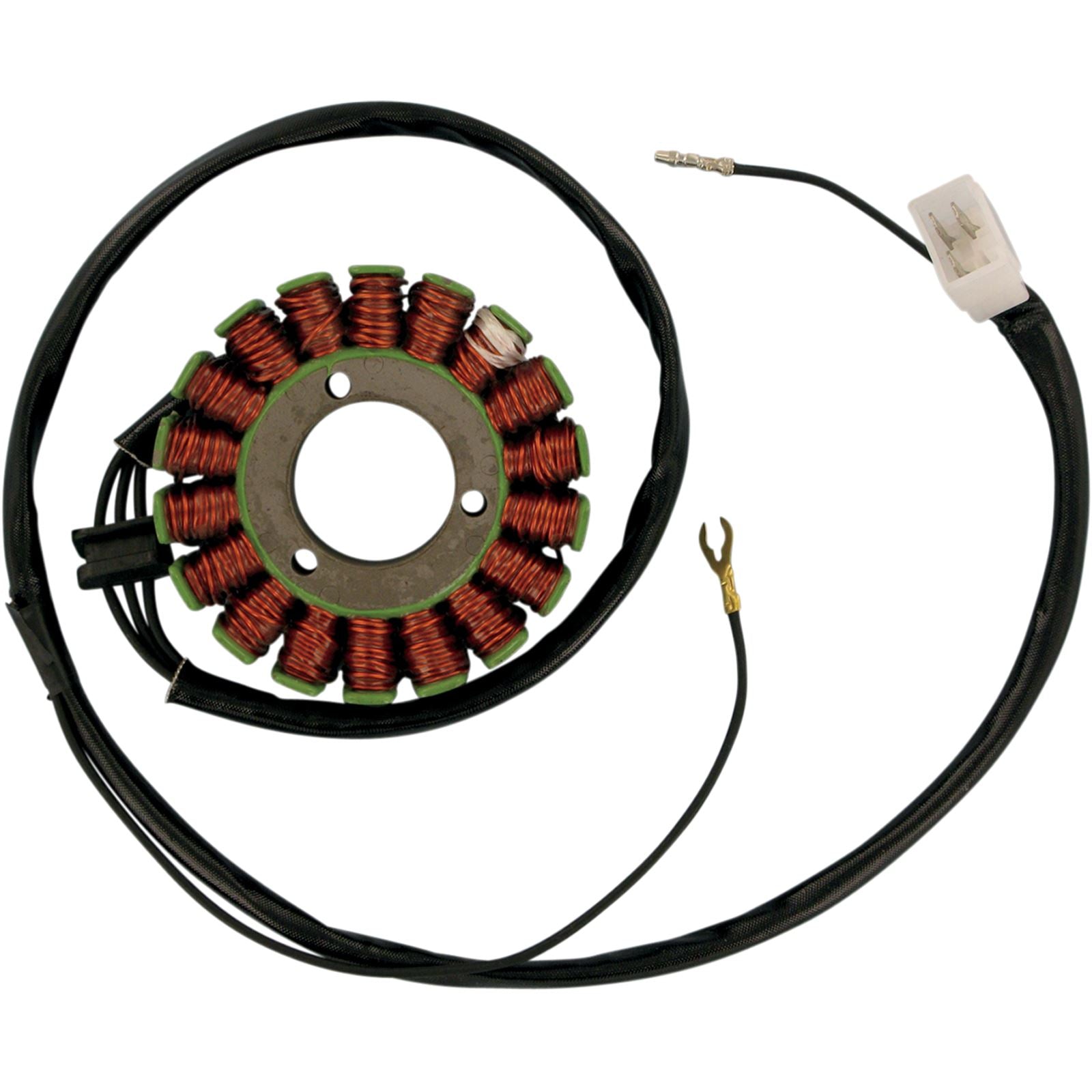 Ricks Stator [MPN: 21-228]_465588