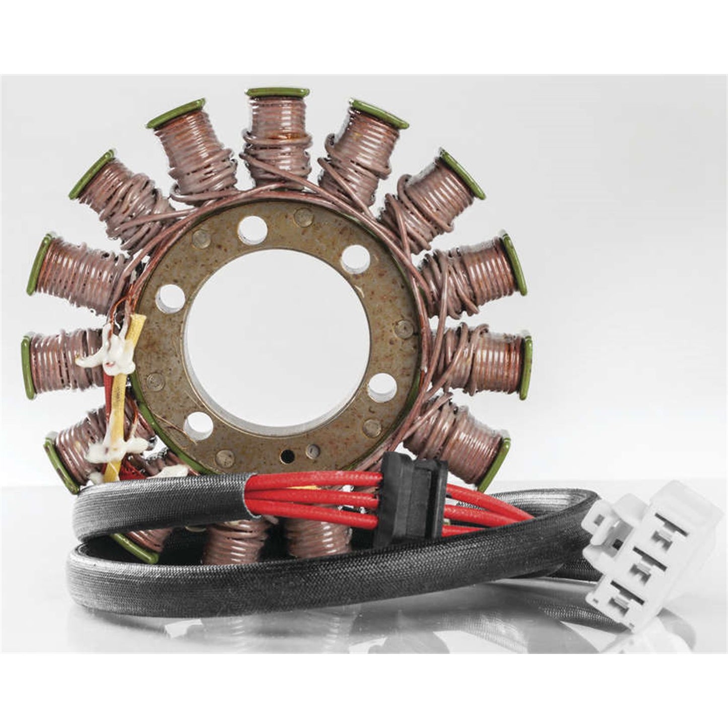 Ricks Stator [MPN: 21-229]_4058