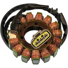 Ricks Stator [MPN: 21-234]_465693