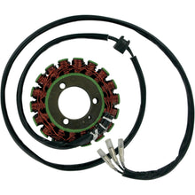 Ricks Stator [MPN: 21-303]_466097