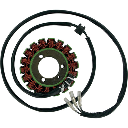 Ricks Stator [MPN: 21-303]_466097
