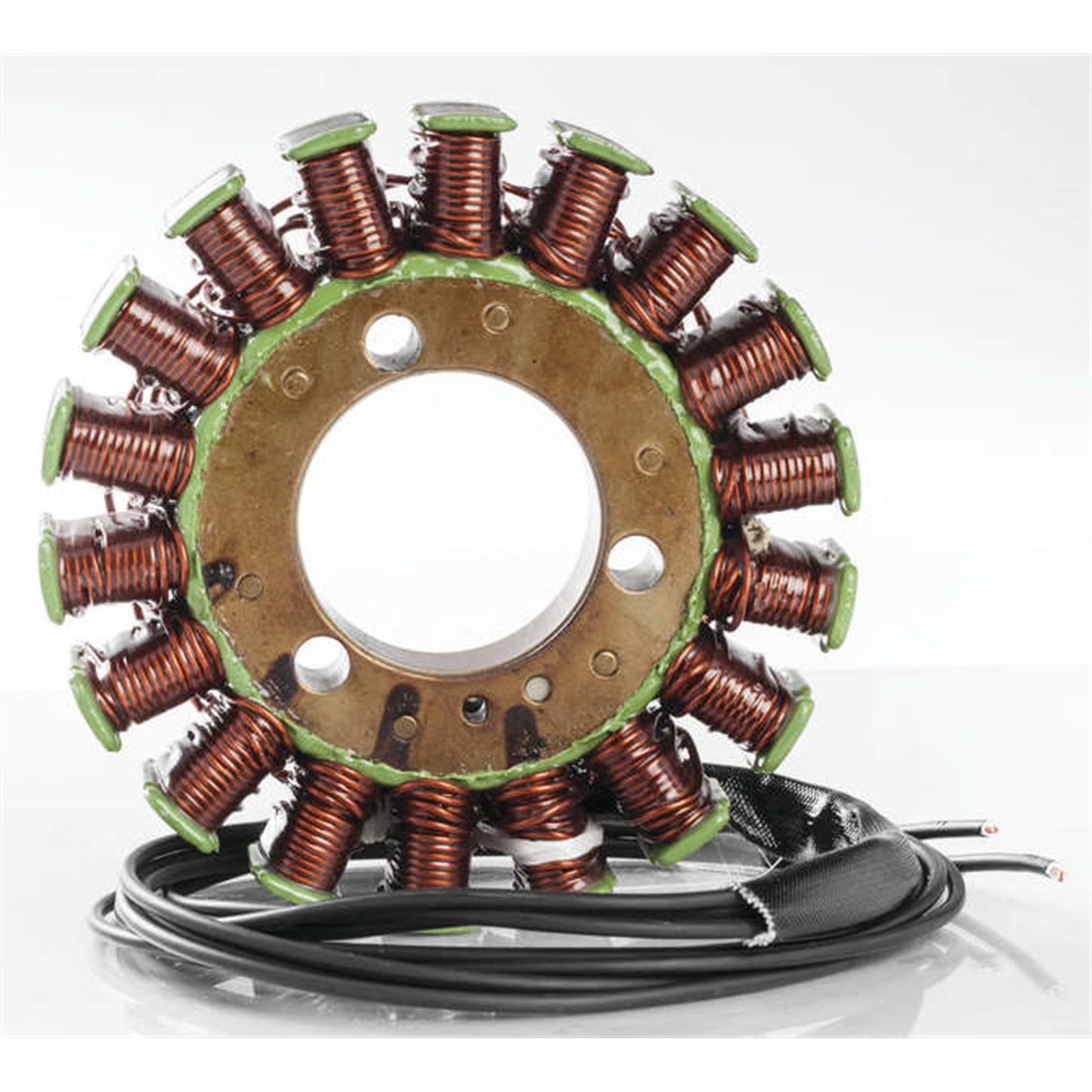 Ricks Stator [MPN: 21-309]_4080