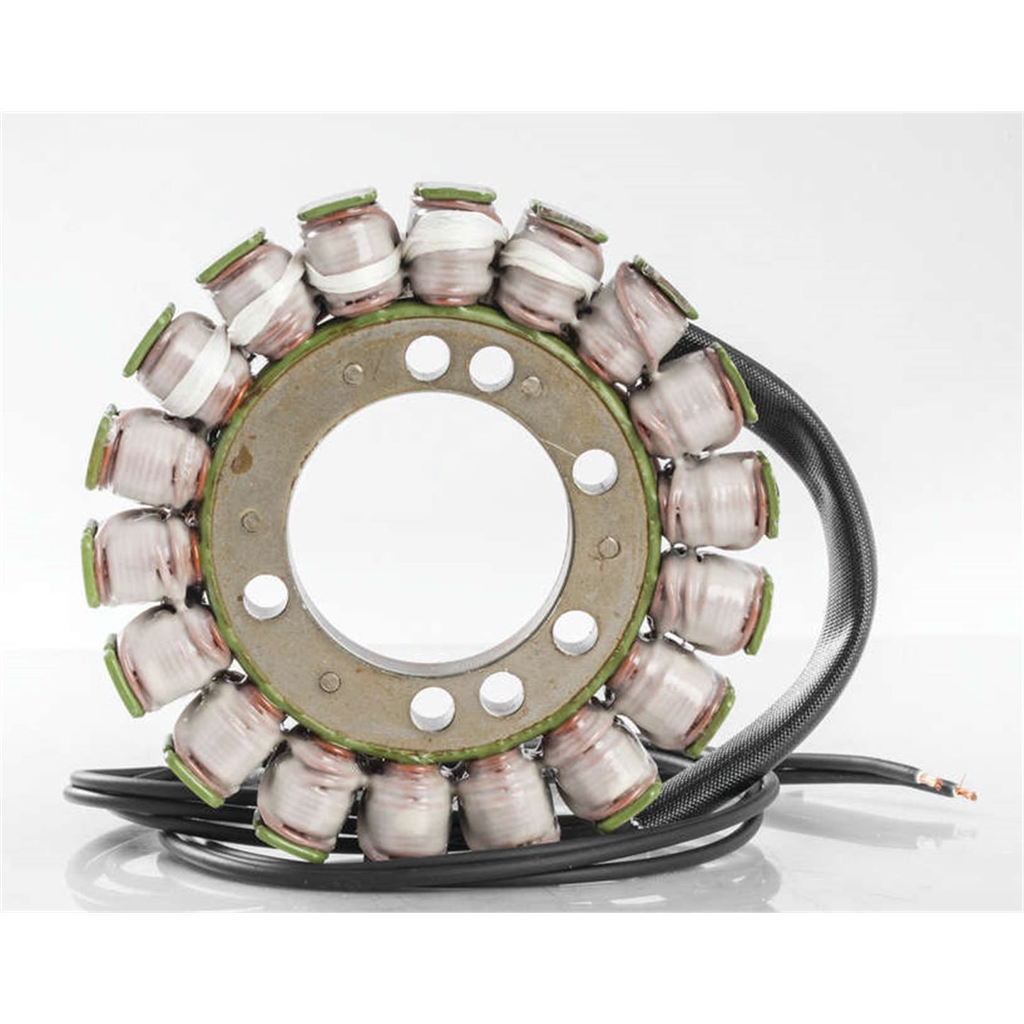 Ricks Stator [MPN: 21-313]_4086