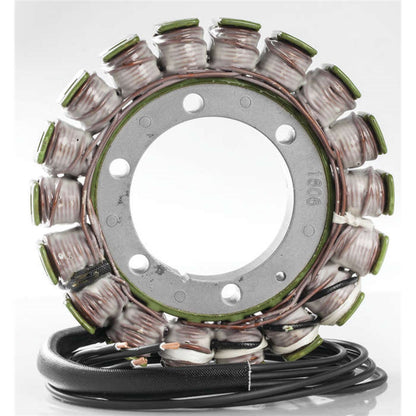 Ricks Stator [MPN: 21-316]_4091