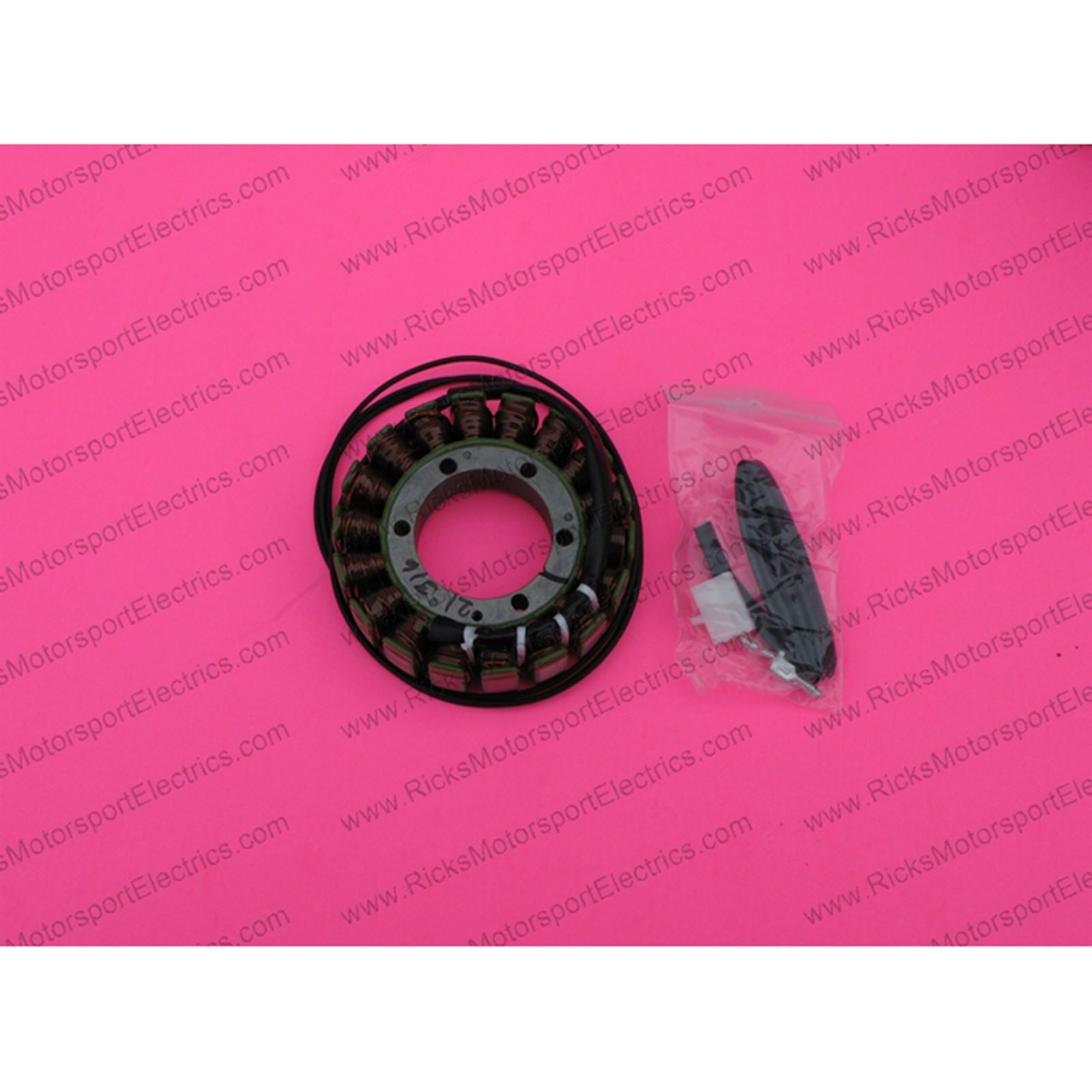 Ricks Stator [MPN: 21-316]_550766