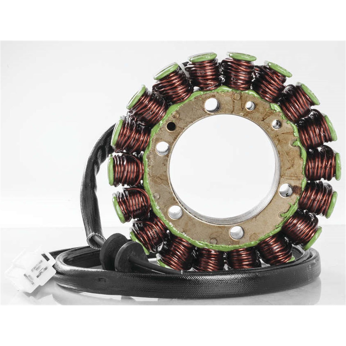 Ricks Stator [MPN: 21-405]_4113