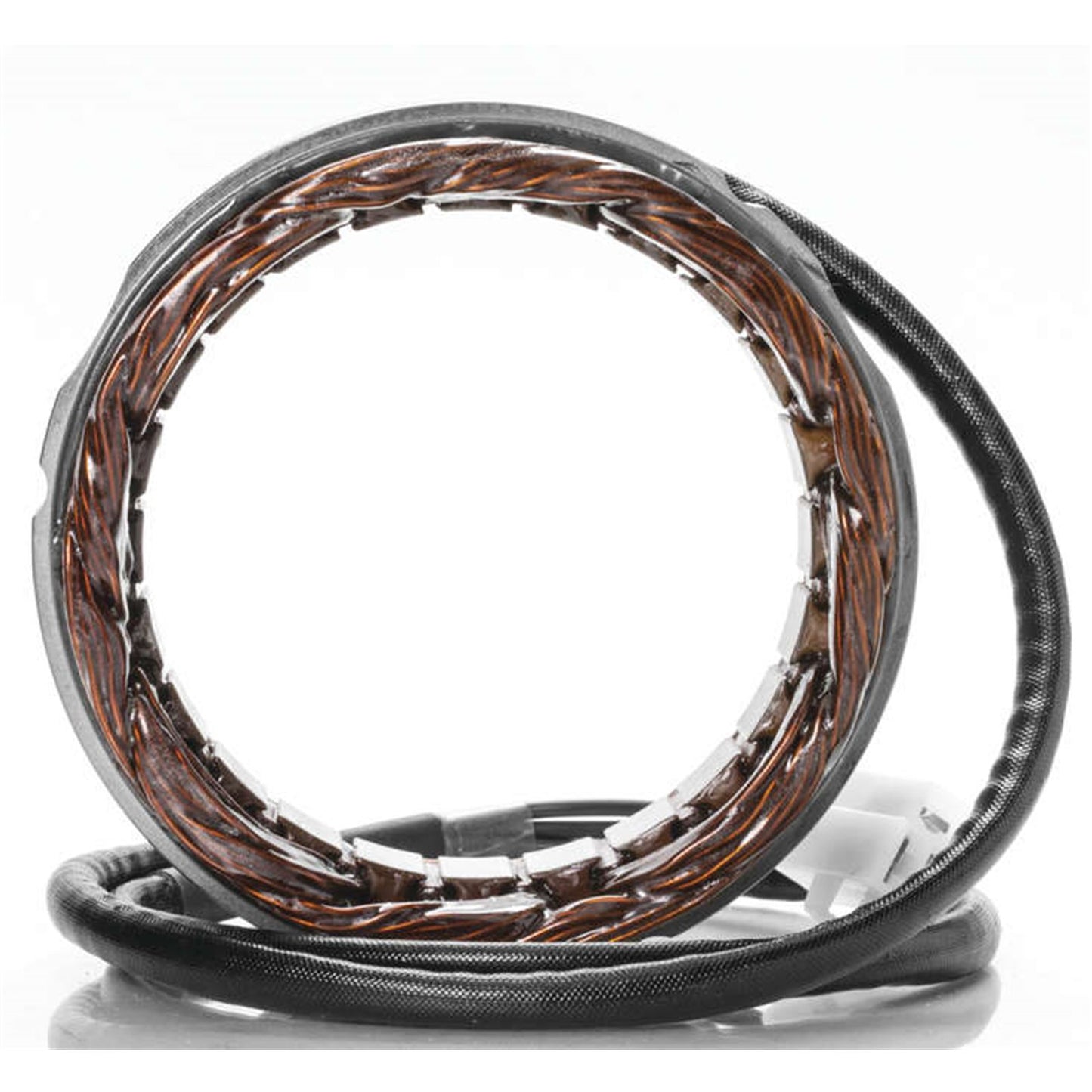 Ricks Stator [MPN: 21-406]_4115