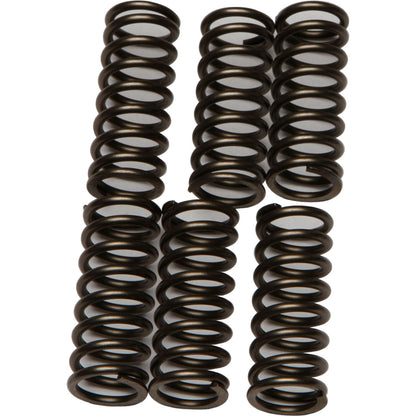 EBC Brakes Clutch Springs CSK196_4350