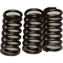 EBC Brakes Clutch Springs CSK203_4353