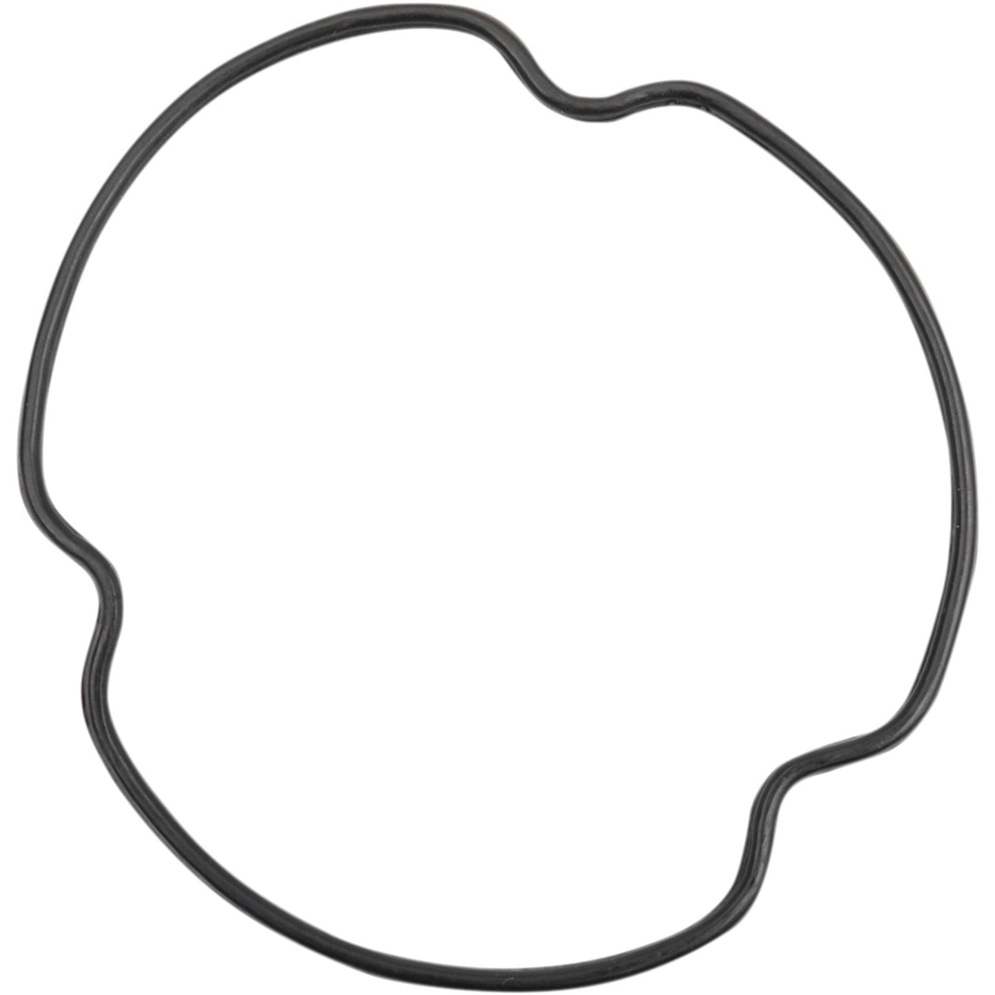 Emgo Oil Filter O-Ring Set 10-29810_381468