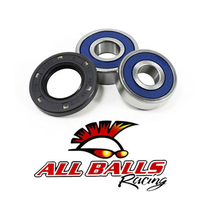All Balls Wheel Bearing & Seal Kit 25-1343_551805