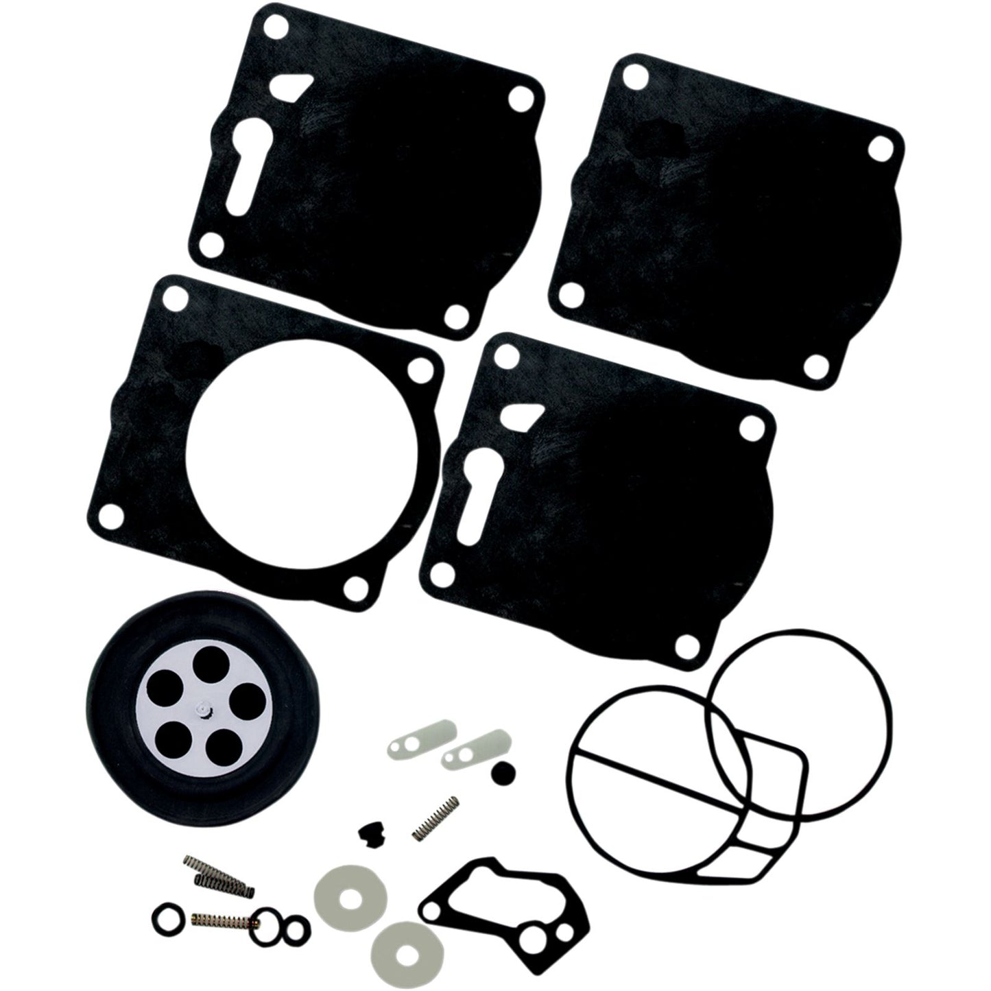 Vertex Carburetor/Fuel Pump Rebuild Kit 451469_493649
