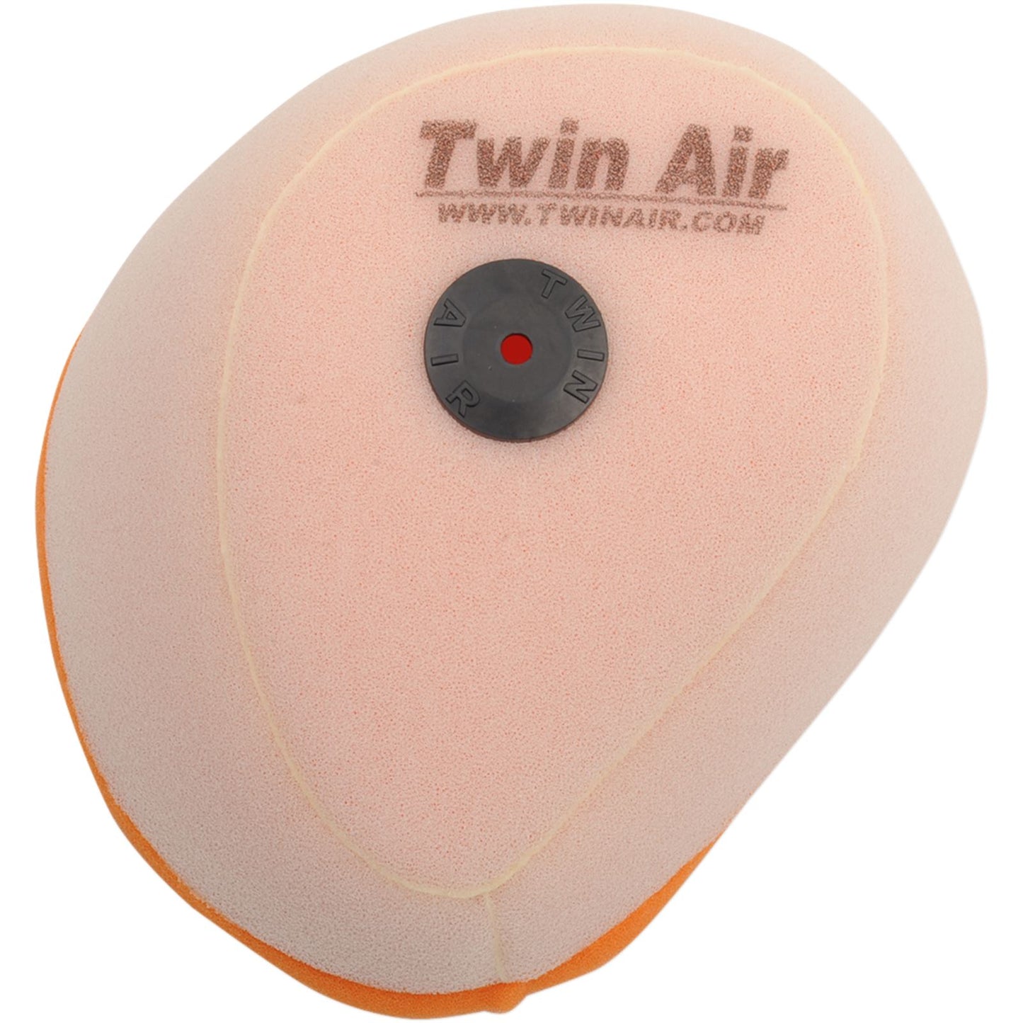 Twin Air Air Filter 151119_485870
