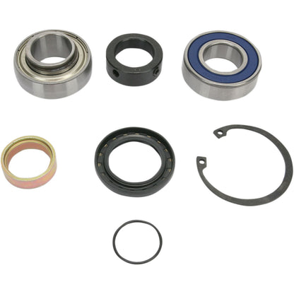 All Balls Chain Case Bearing & Seal Kit 14-1039_323900