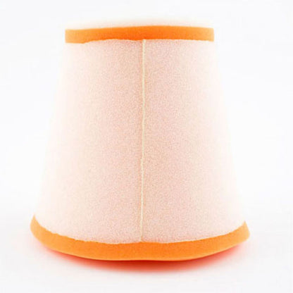 Twin Air Air Filter 153902_553285