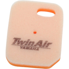 Twin Air Air Filter 152910_485831