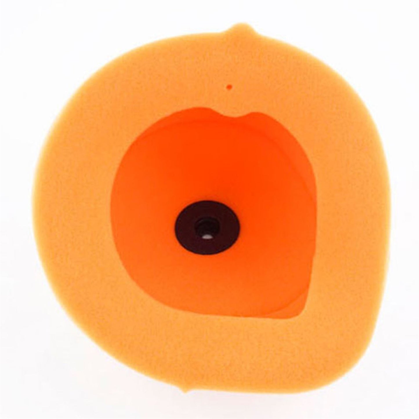 Twin Air Air Filter 154108_553356