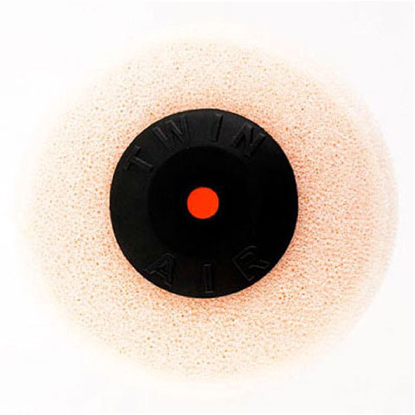 Twin Air Air Filter 154142_553558