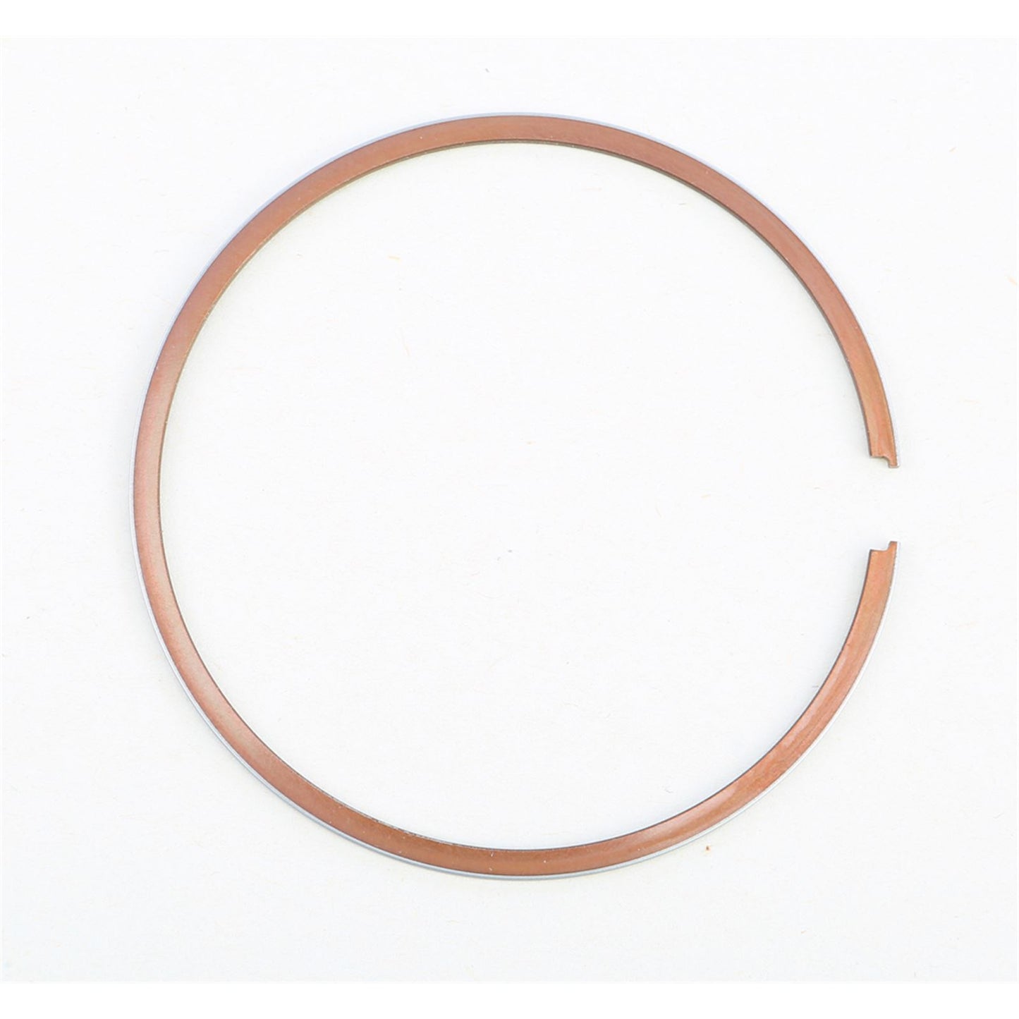 Piston Rings For Vertex Pistons Only 55910005600_17524