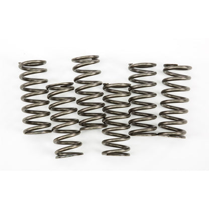 EBC Brakes Clutch Springs CSK221_18438