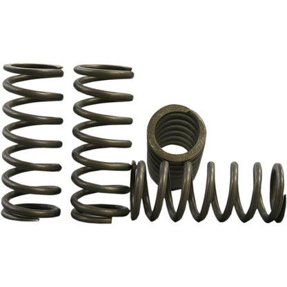 Hinson High Temp Spring 4 Springs CRF150R [MPN: CS290-4-0710]_393946