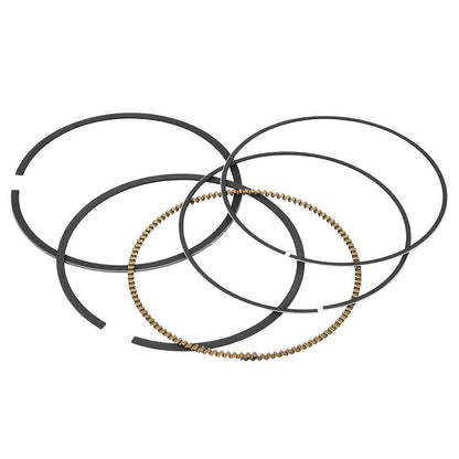 Piston Rings For Vertex Pistons Only 590395000001_19317