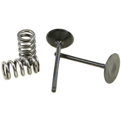 ProX Steel Intake Valve/Spring Kit 28.SIS2444-2_21151