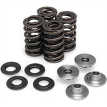 KPMI Racing Valve Spring Kit [MPN: 40-40100]_21190