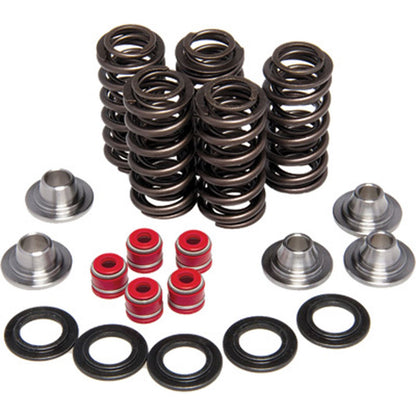 KPMI Racing Valve Spring Kit [MPN: 40-40550]_554155
