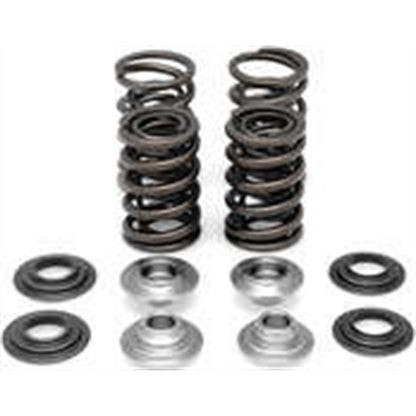 KPMI Racing Valve Spring Kit [MPN: 60-60240]_21194