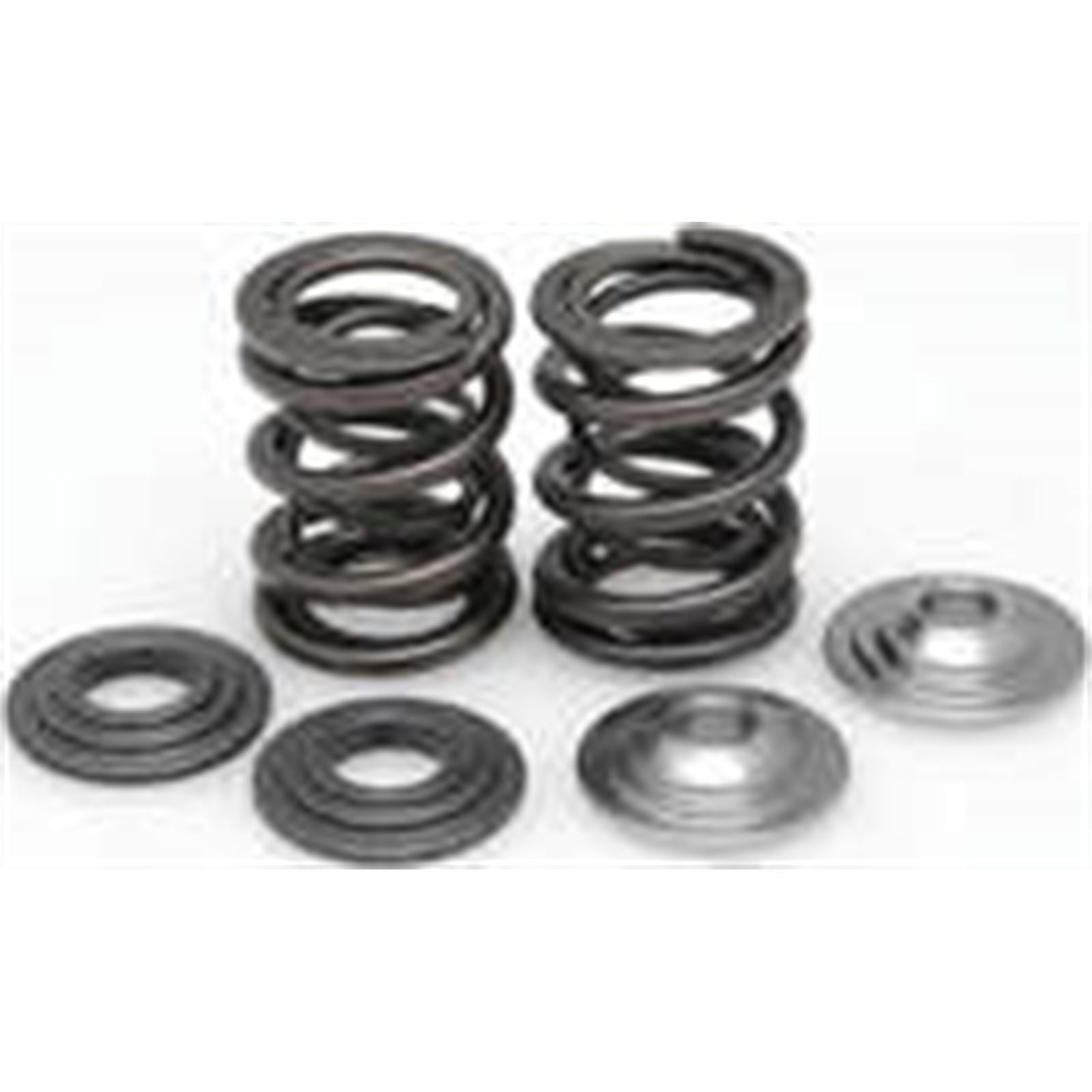 KPMI Racing Valve Spring Kit [MPN: 80-80550]_21196