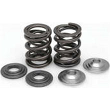 KPMI Racing Valve Spring Kit [MPN: 80-80550]_21196