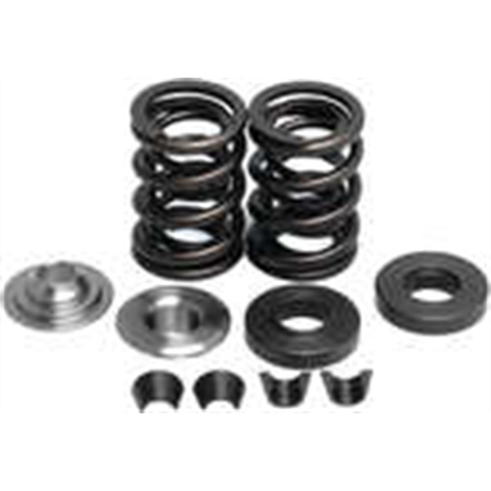 KPMI Racing Valve Spring Kit [MPN: 80-8000]_21198