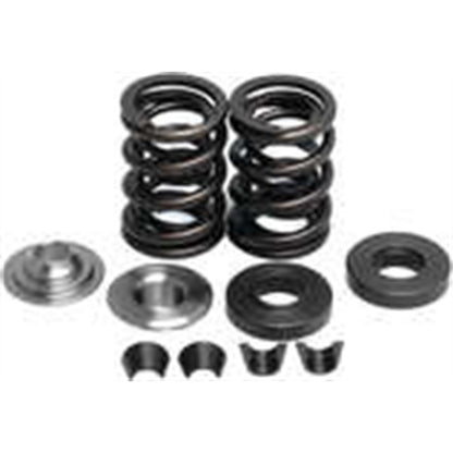 KPMI Racing Valve Spring Kit [MPN: 80-8000]_21198