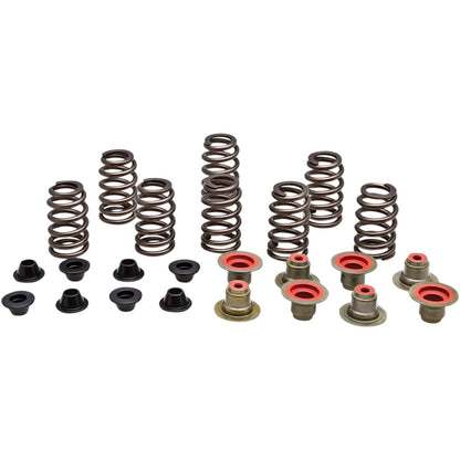 KPMI Racing Valve Spring Kit [MPN: 82-82550]_407567