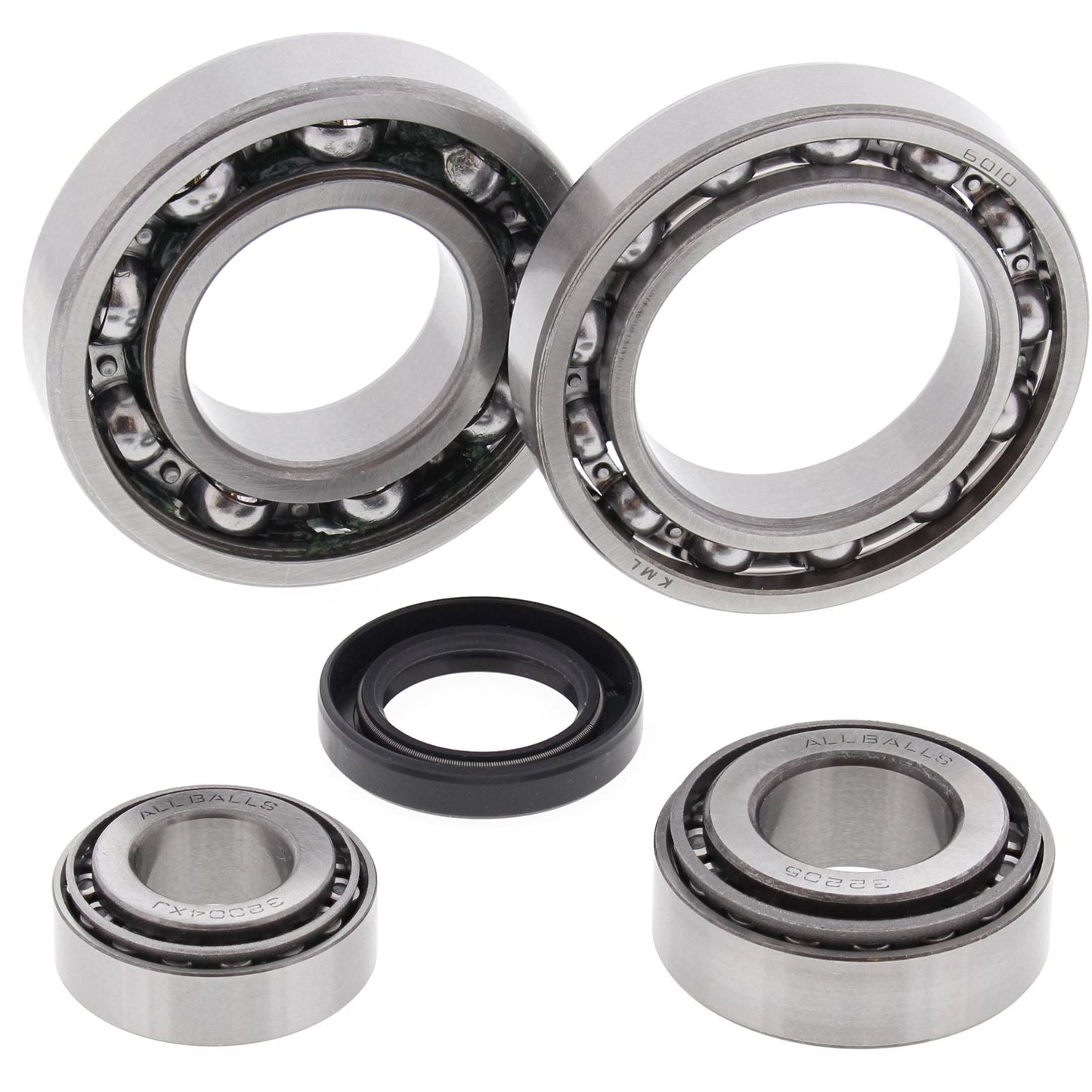 All Balls Rear Differential Bearing and Seal Kit 25-2019_21524