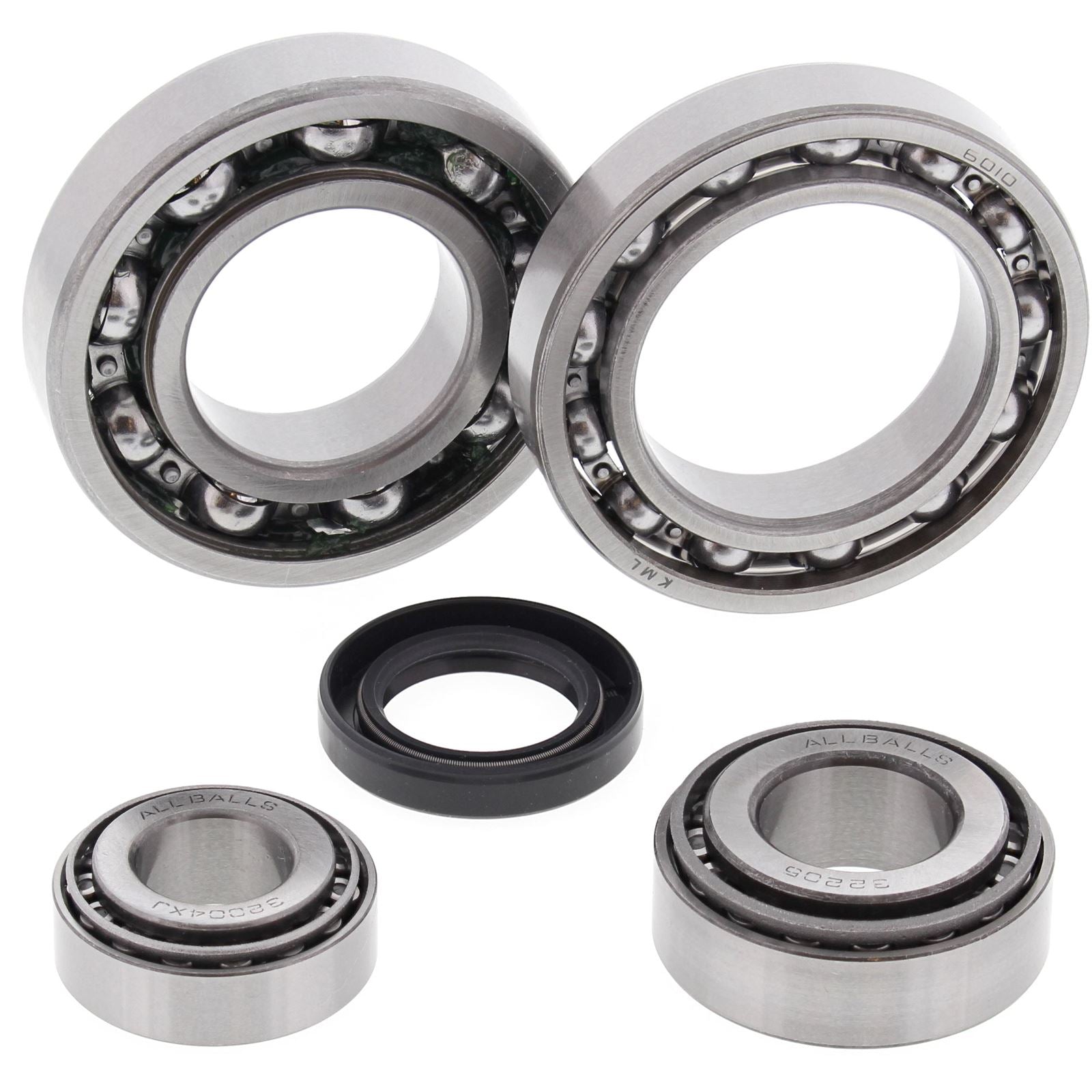 All Balls Rear Differential Bearing and Seal Kit 25-2019_21524